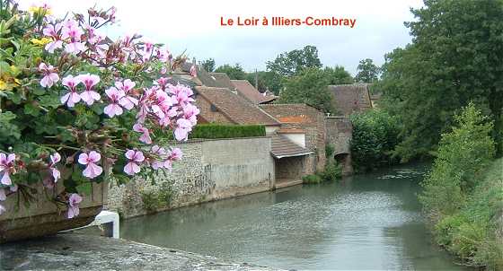 Le Loir à Illiers-Combray