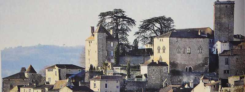 Vue de la partie haute de Puy-l'Evêque avec le donjon carré en haut à droite