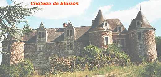 Chateau de Blaison