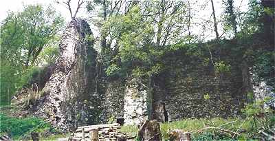 Ruines du château de Bury