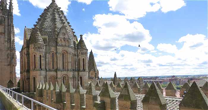 Tour du Coq avec dôme en écailles de la Cathédrale Vieja de Salamanque