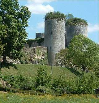 Le château-fort de Coudray-Salbart