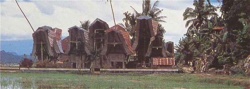 Indonésie: Maisons sur pilotis dans l'île de Sulawesi (Célèbes)
